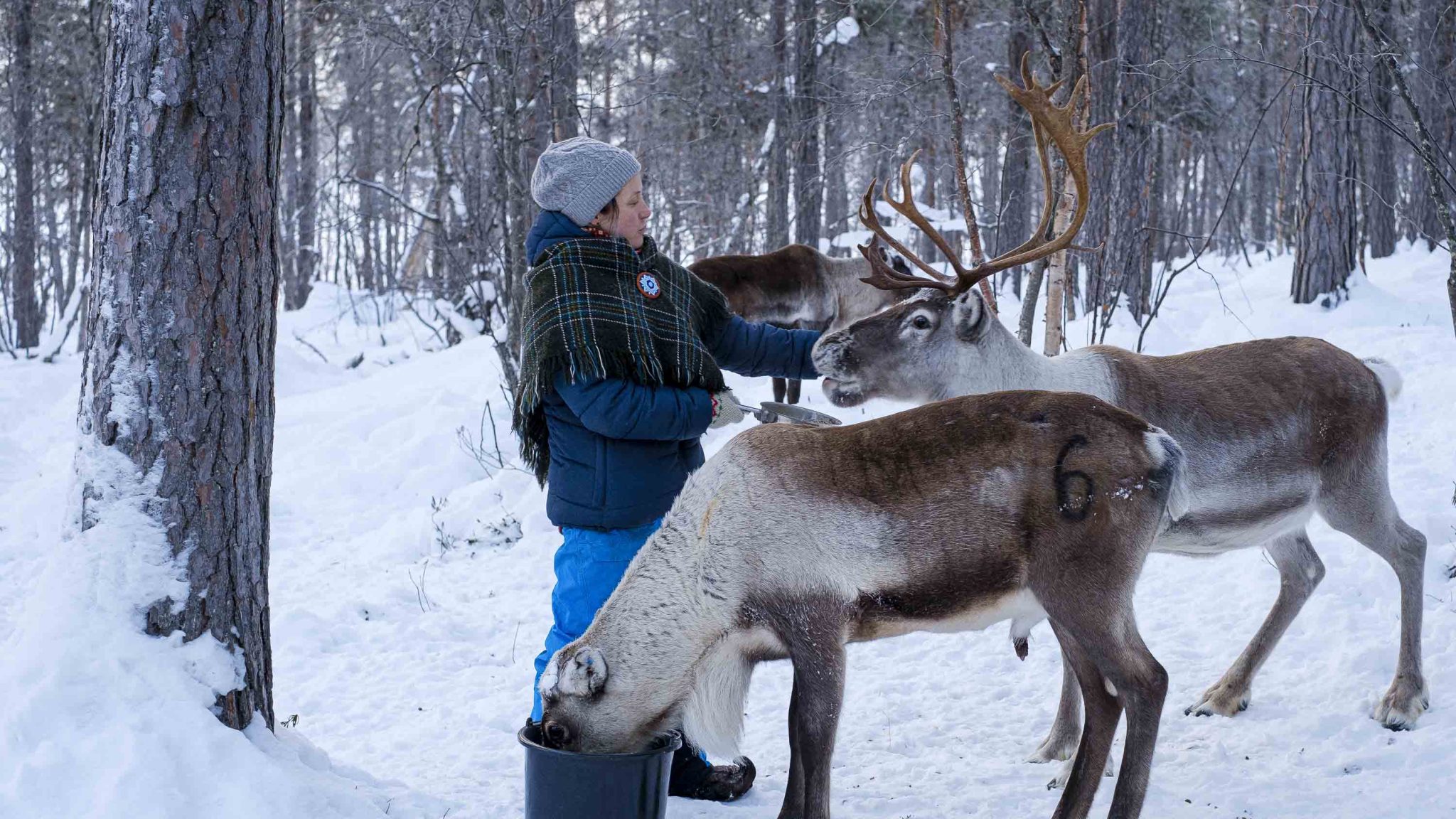 Can best-practice travel protect Finland’s Sámi culture? | Adventure.com