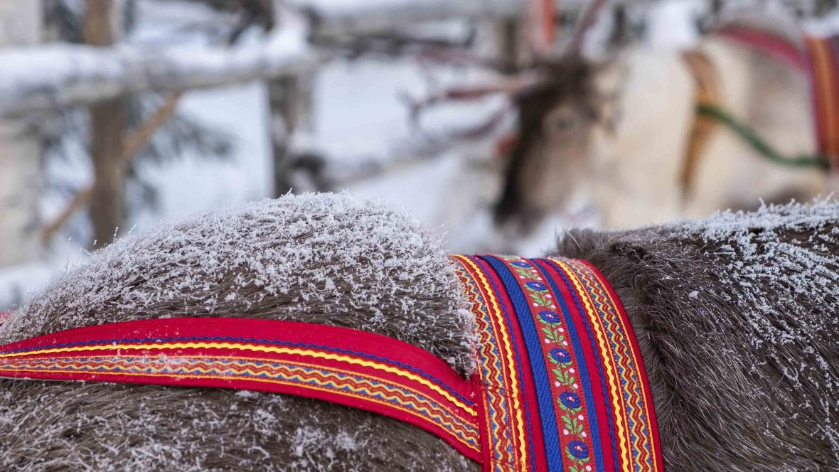 Can Best Practice Travel Protect Finlands Sámi Culture 