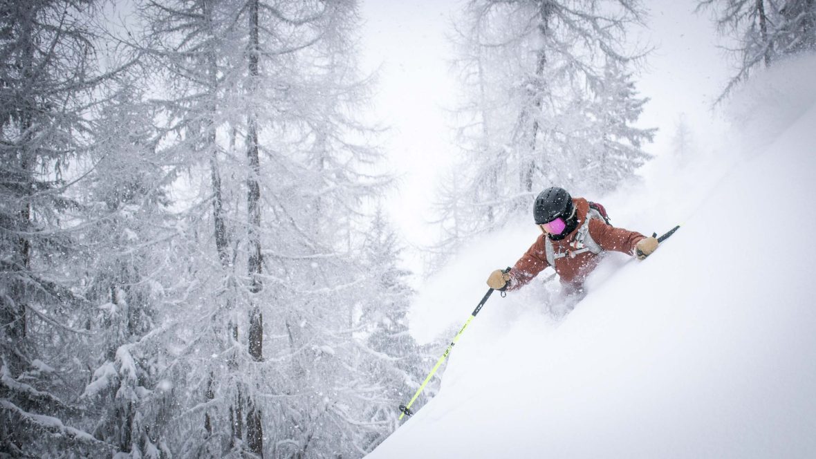 A person skiing through powder snow past trees.