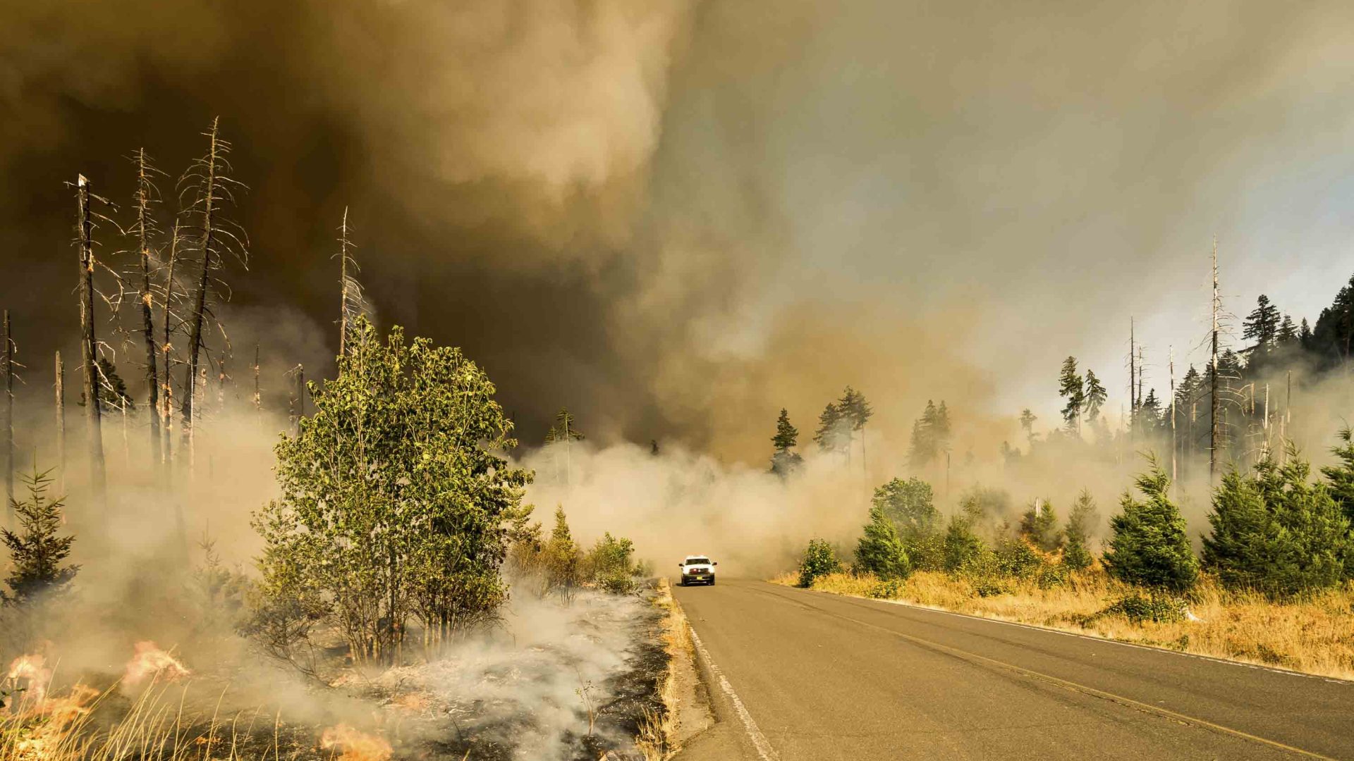 A car drives away from a wildfire.