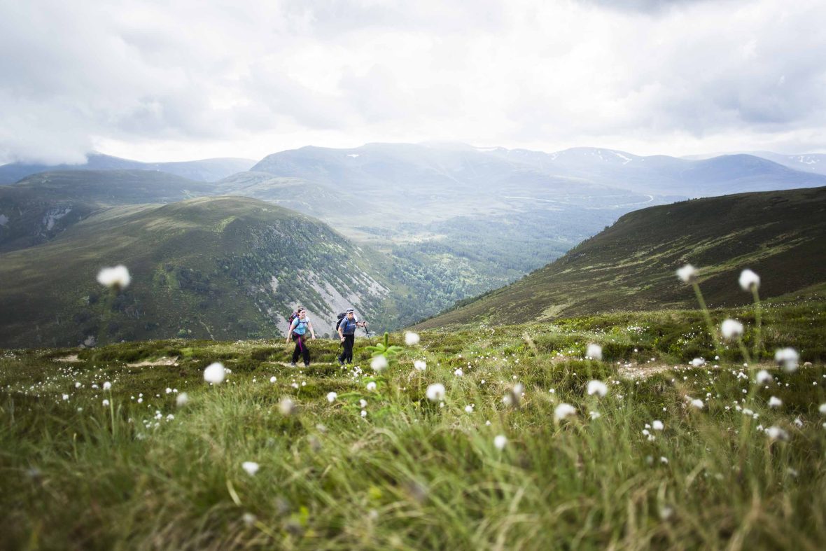 Two women are seen walking through green mountains dotted with white flowers.