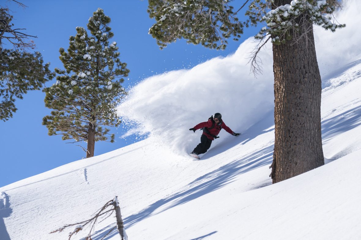 Snowboarder Jeremey Jones makes a sweeping heelside turn surrounded by pine trees in the backcountry of Lake Tahoe, California
