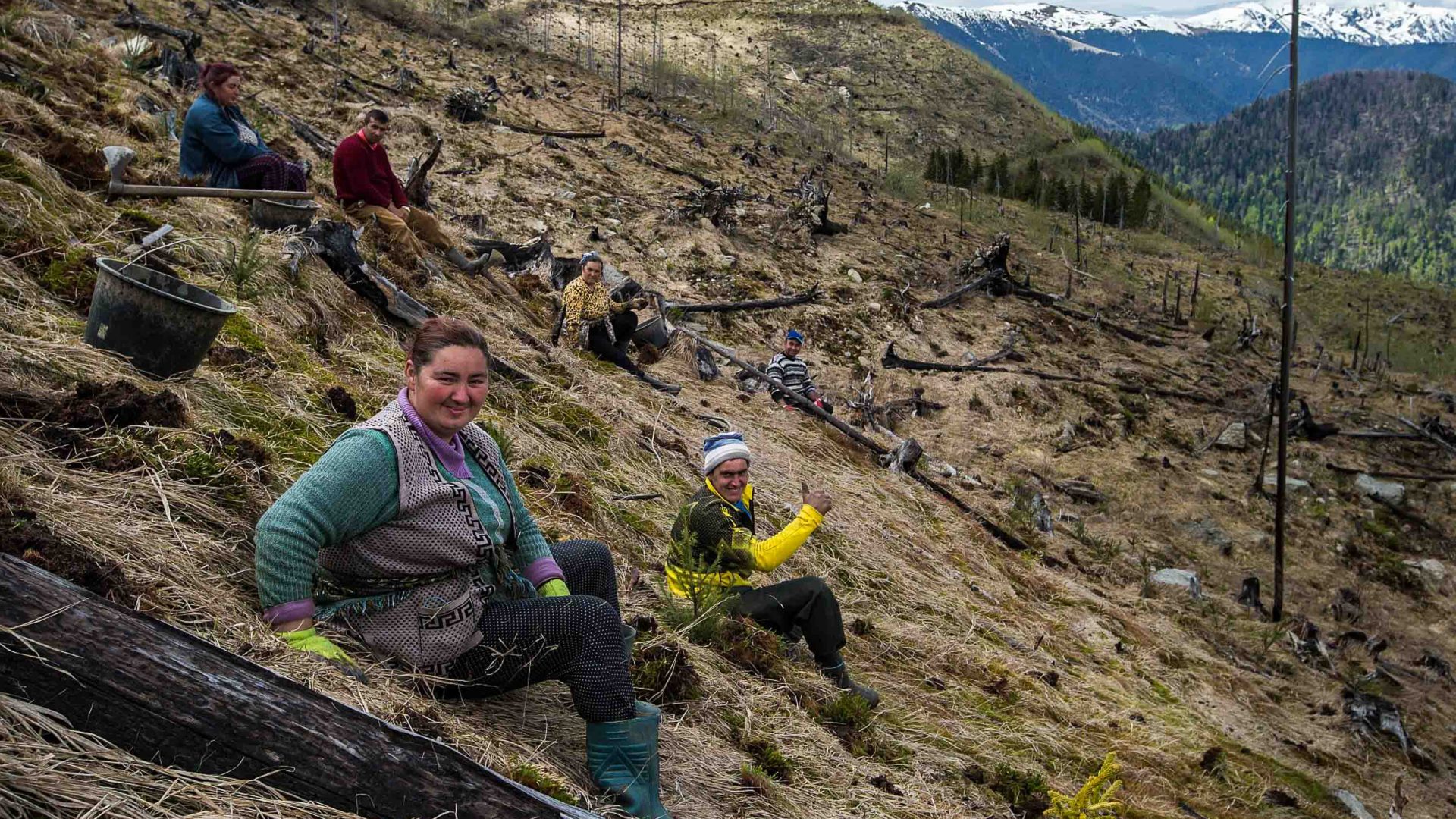 Two workers sat on a mountainside planting trees.