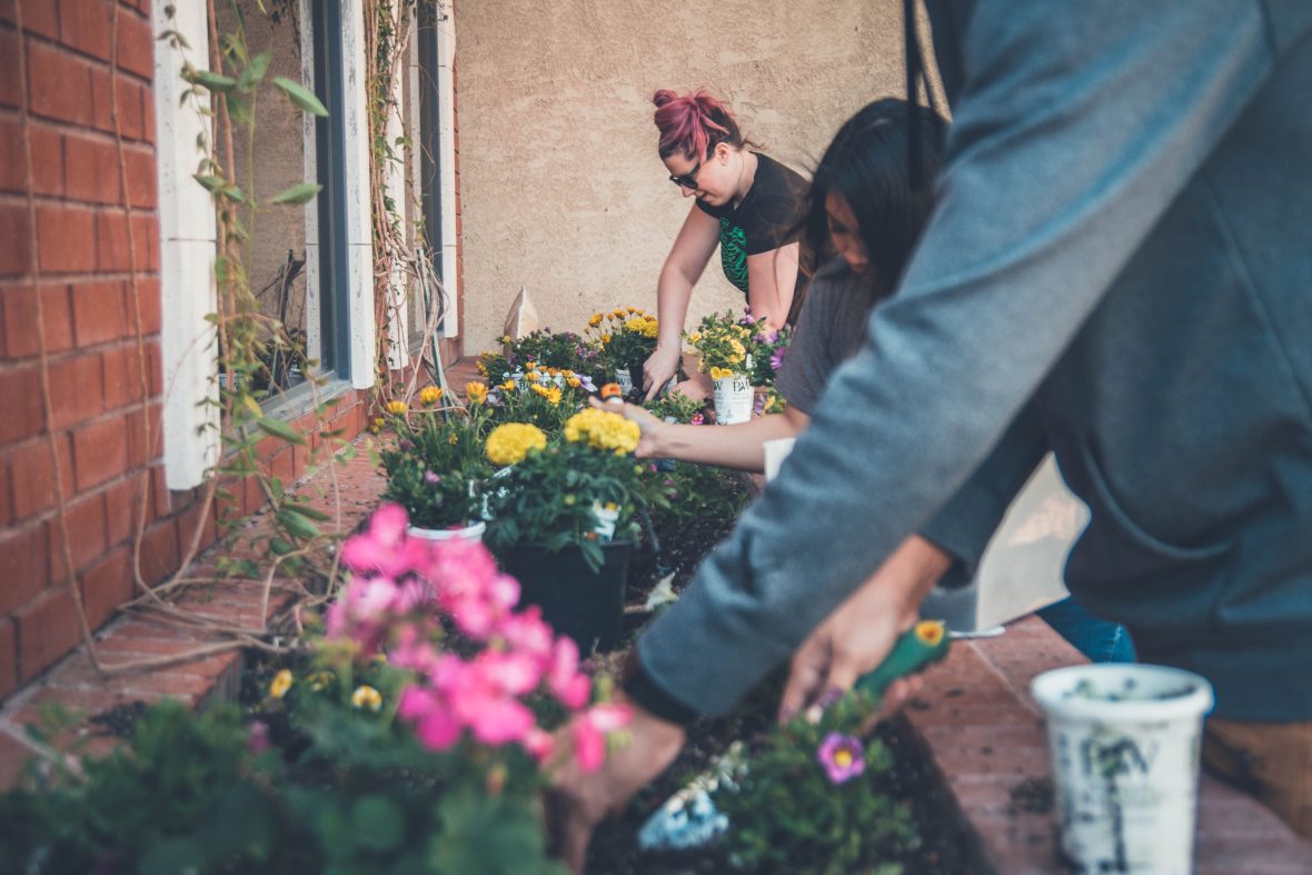 Three volunteers plant flowers in a windowsill of an apartment building.
