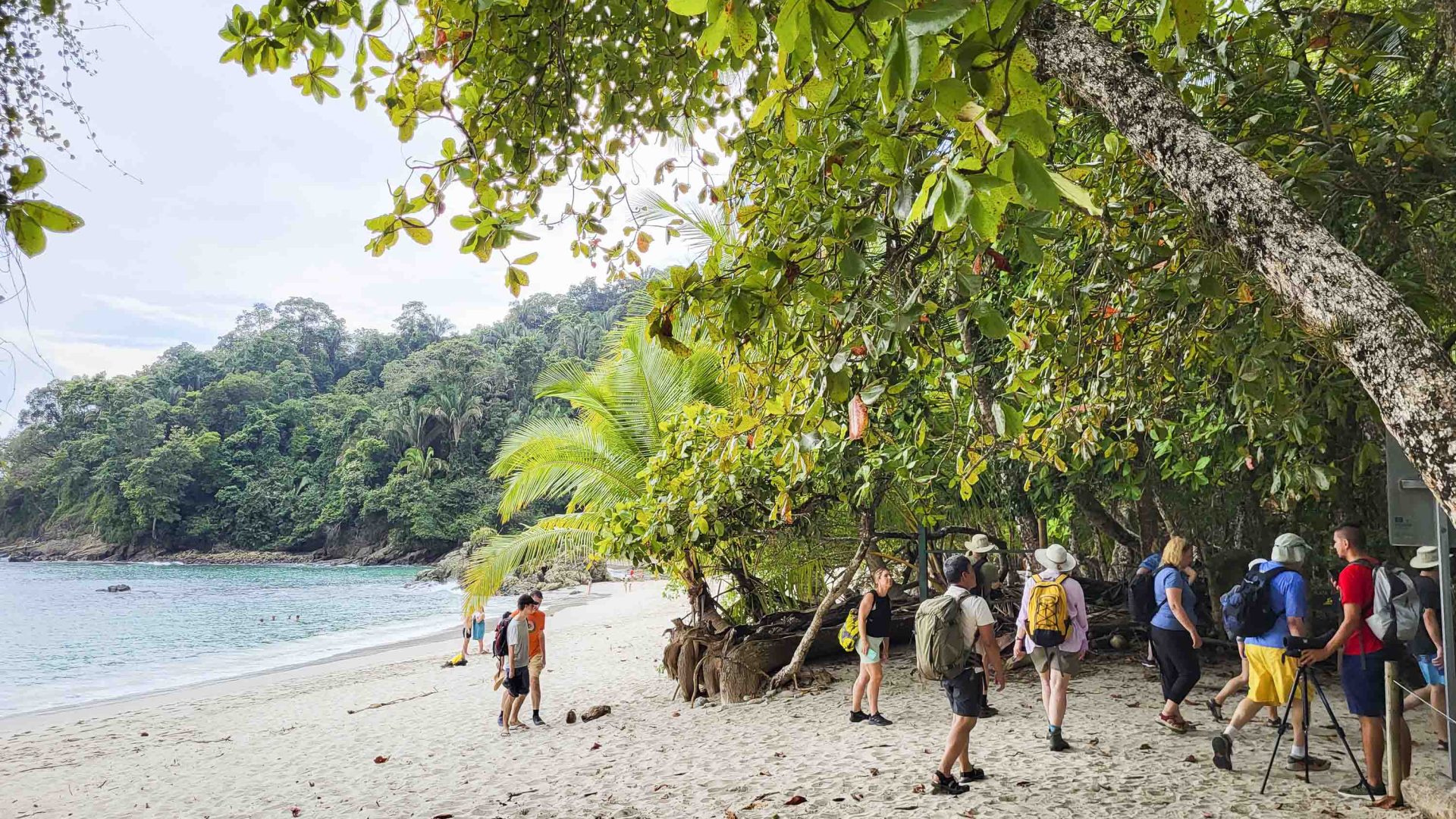 Tourists walk across the white sand of a beach with calm blue water, fringed by trees.
