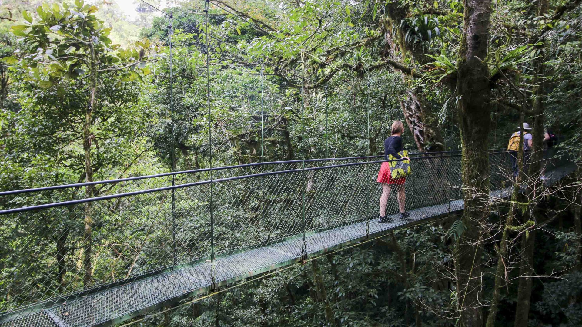 A traveler on a hanging bridge in Monteverde.