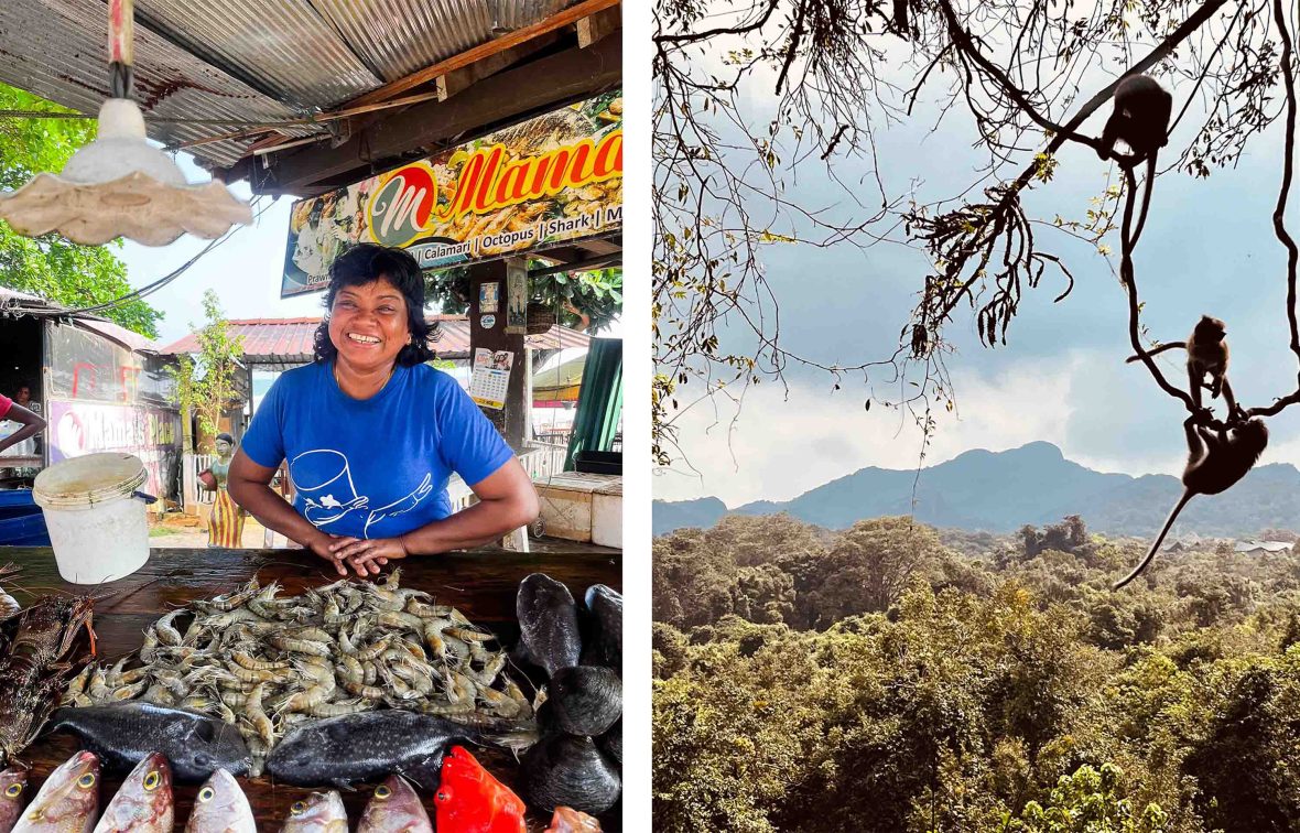 Left: A woman stands in front of a cart of seafood. Right: Monkeys swing from the branch of a tree.