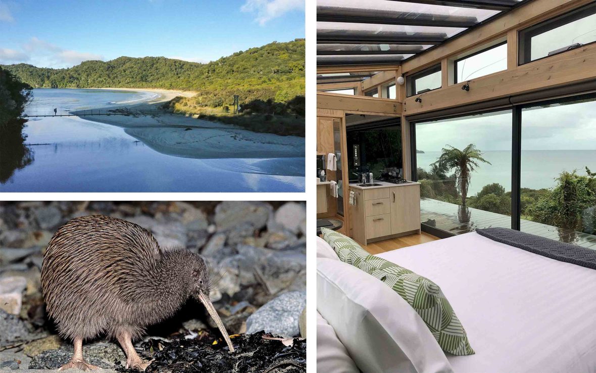 Scenery of water and forest, a brown kiwi bird and the interior of a room that looks out at forest and water though big windows.