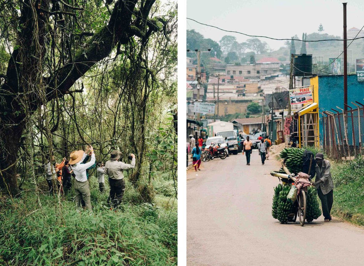 Left: Tourists take photographs in a forest setting. Right: A man pushes a cart loaded with bananas up a hill in a town with small shops and people in it.