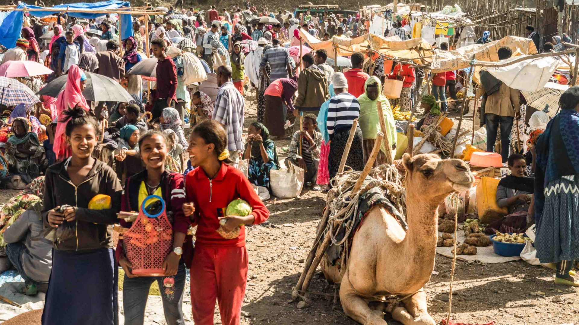 Crowds of people and a seated camel in a marketplace.