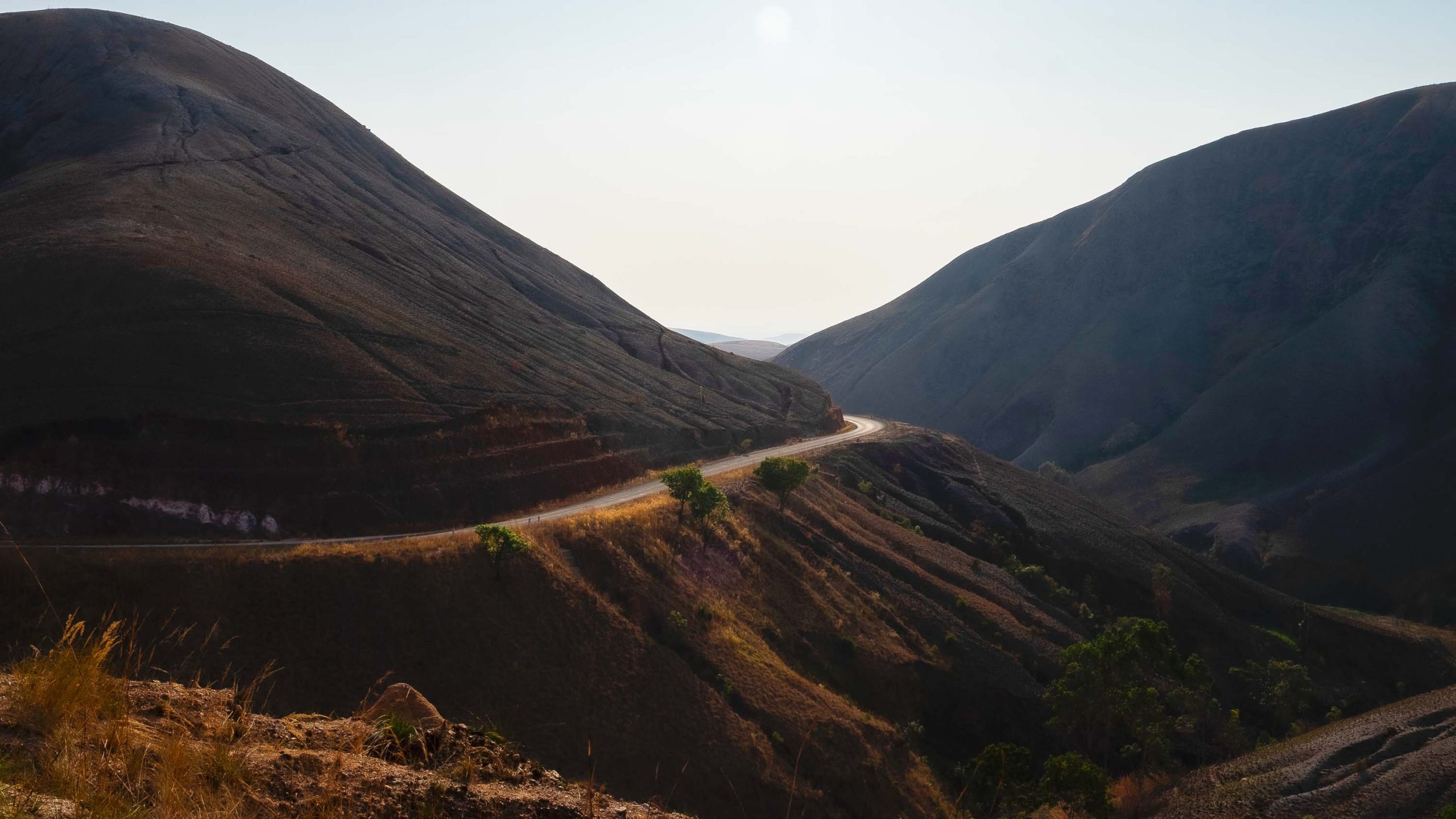 Urgent action is needed to protect Madagascar’s forests | Adventure.com