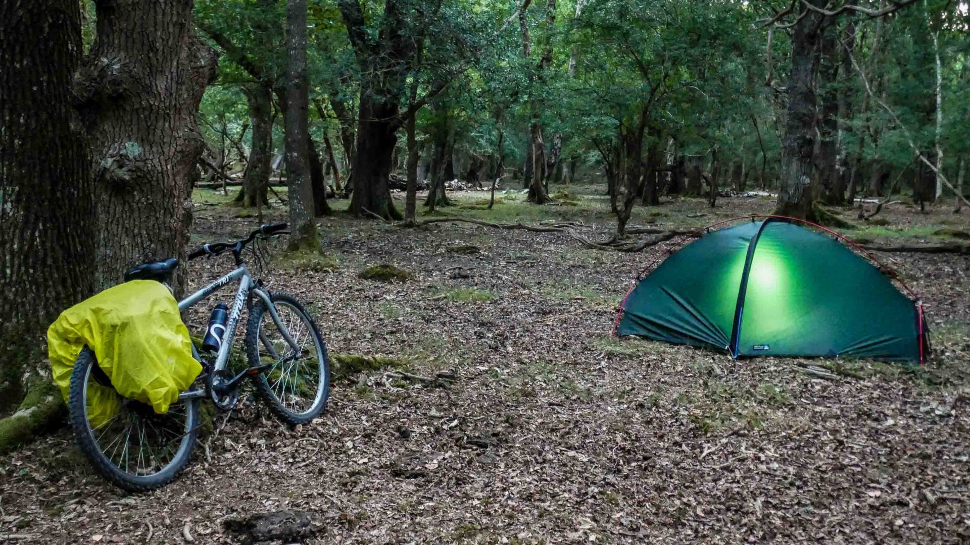 A bike and a tent in a forest.