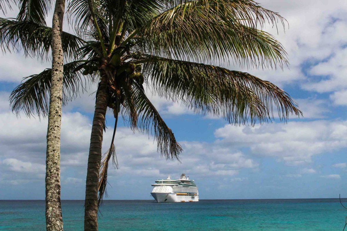 A cruise ship in the ocean and a palm tree in the foreground.
