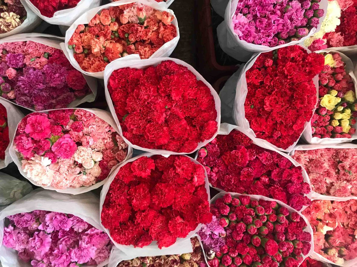 Carnations at the flower market.