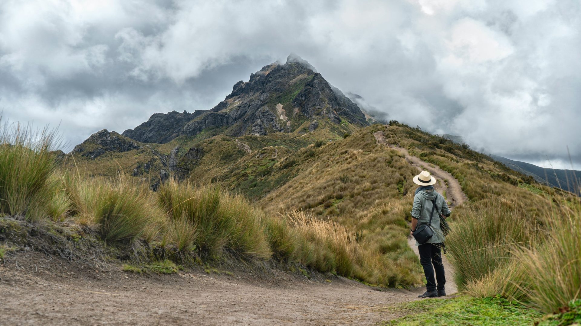 Native plants in the Andes previously thought extinct have been found by researchers—with the help of citizen scientists
