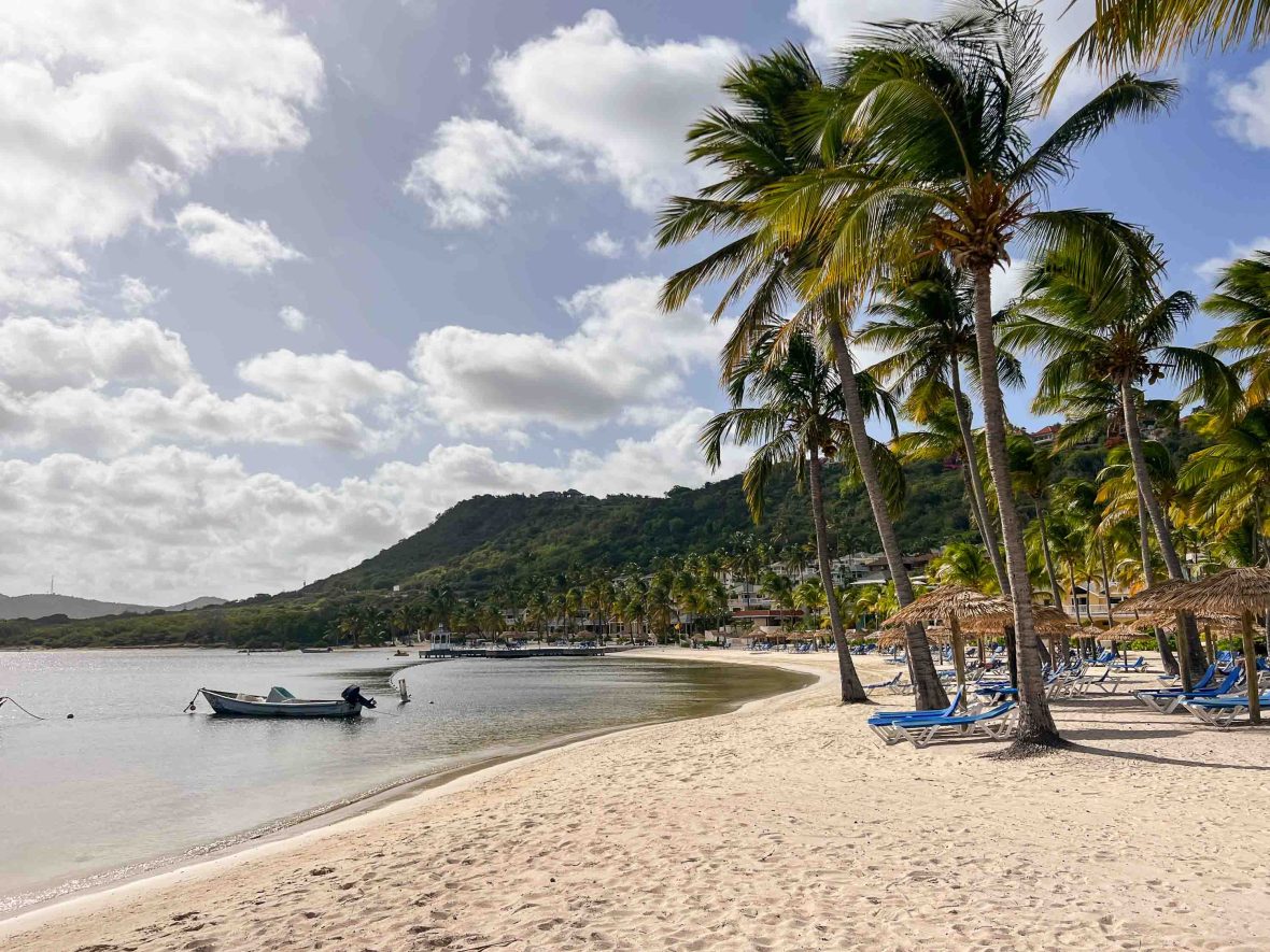 The beach in Antigua. It is lined with palms and there is a small boat in the calm water.