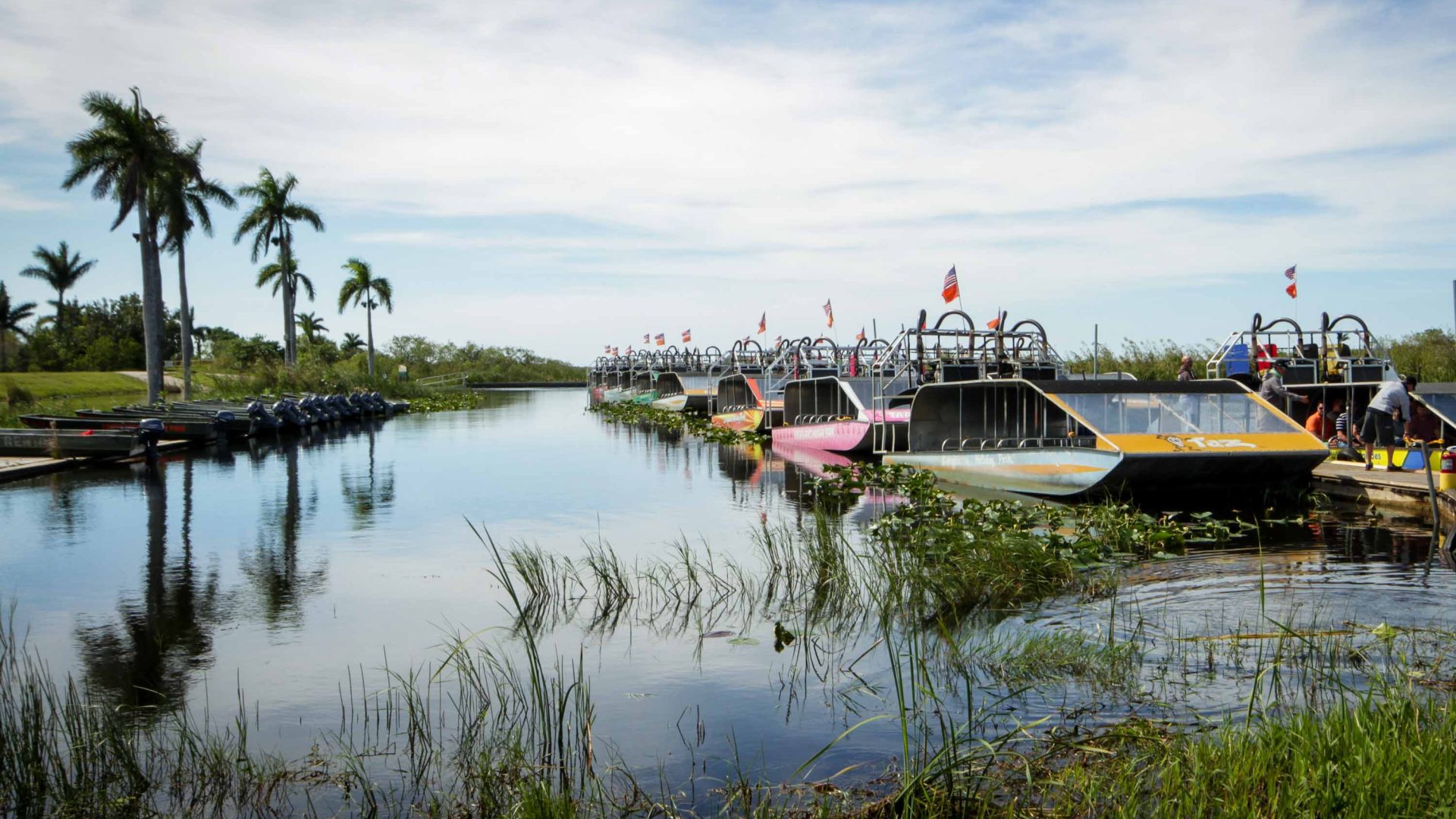 Boats for touring the Everglades sit largely empty.