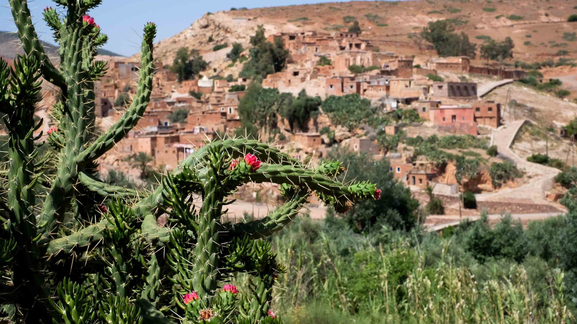 A village in the Atlas mountains.