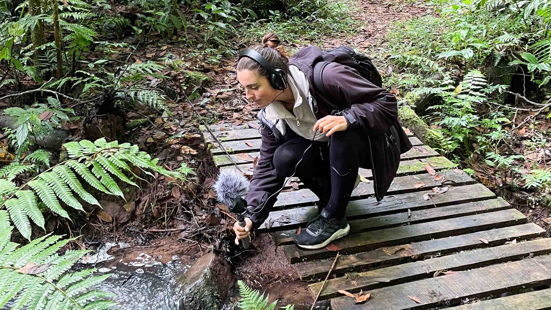 The art of sight-hearing: Exploring the world of sound tourism in the forest of Peru