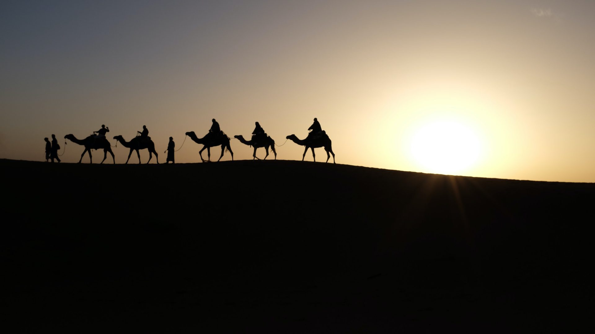 Silhouettes of camels walking through the desert.