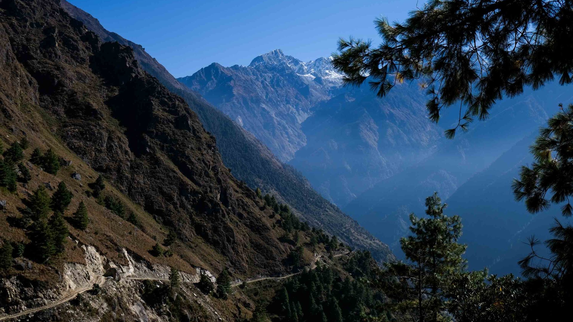 A path winds through the Langtang Valley.