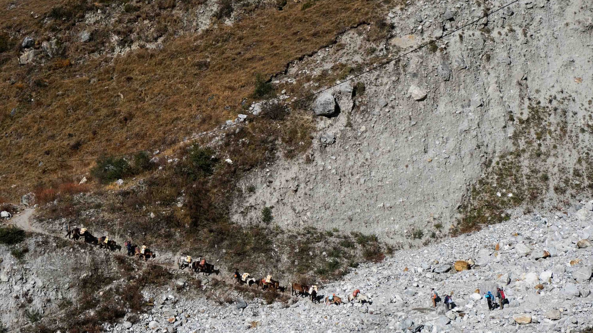 Yaks and people make their way up a path strewn with boulders.