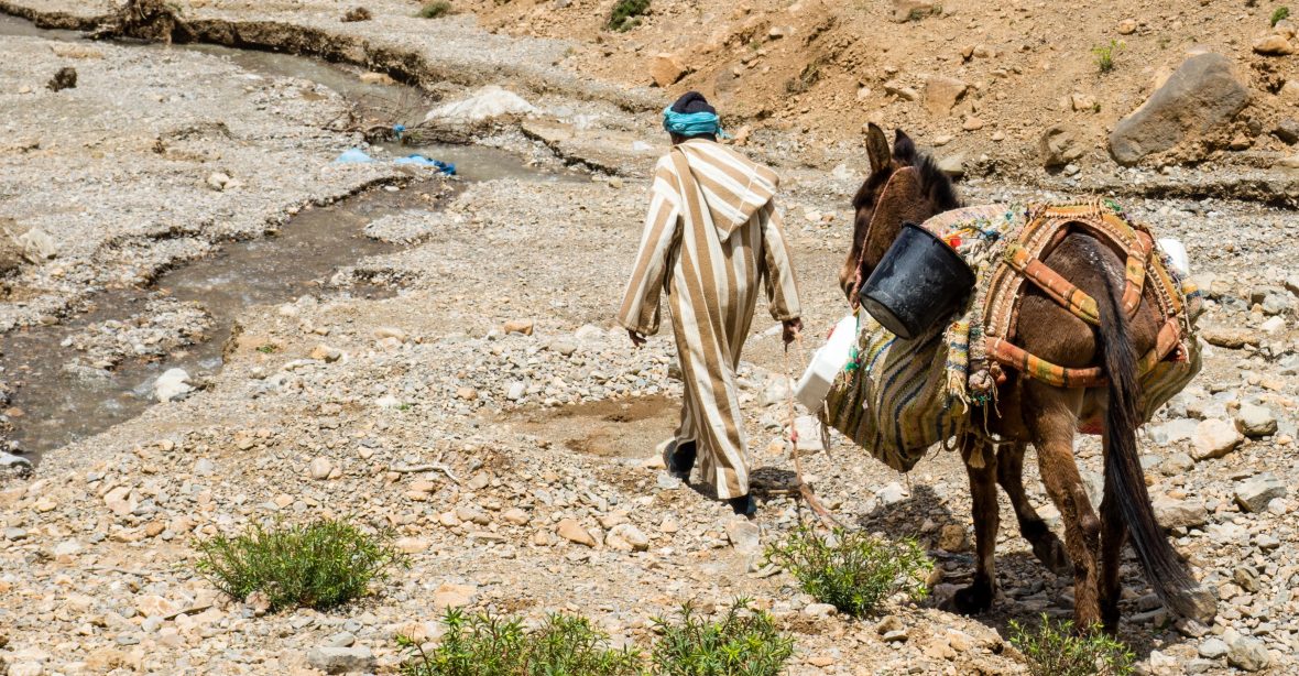 This man is getting water at some pure sources in the Atlas for his village. With his donkey he goes upstream this tiny river and fills the jerrycans with this water. Then he walks back again to his tiny village.