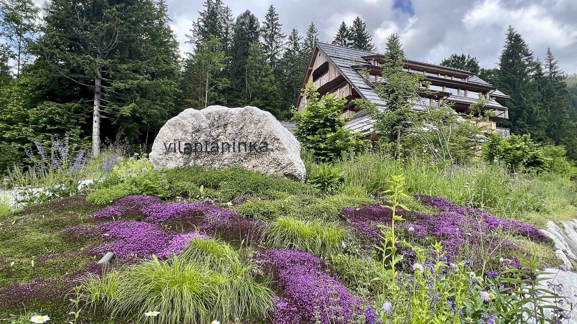 Villa Planinka with purple flowers in the foreground.