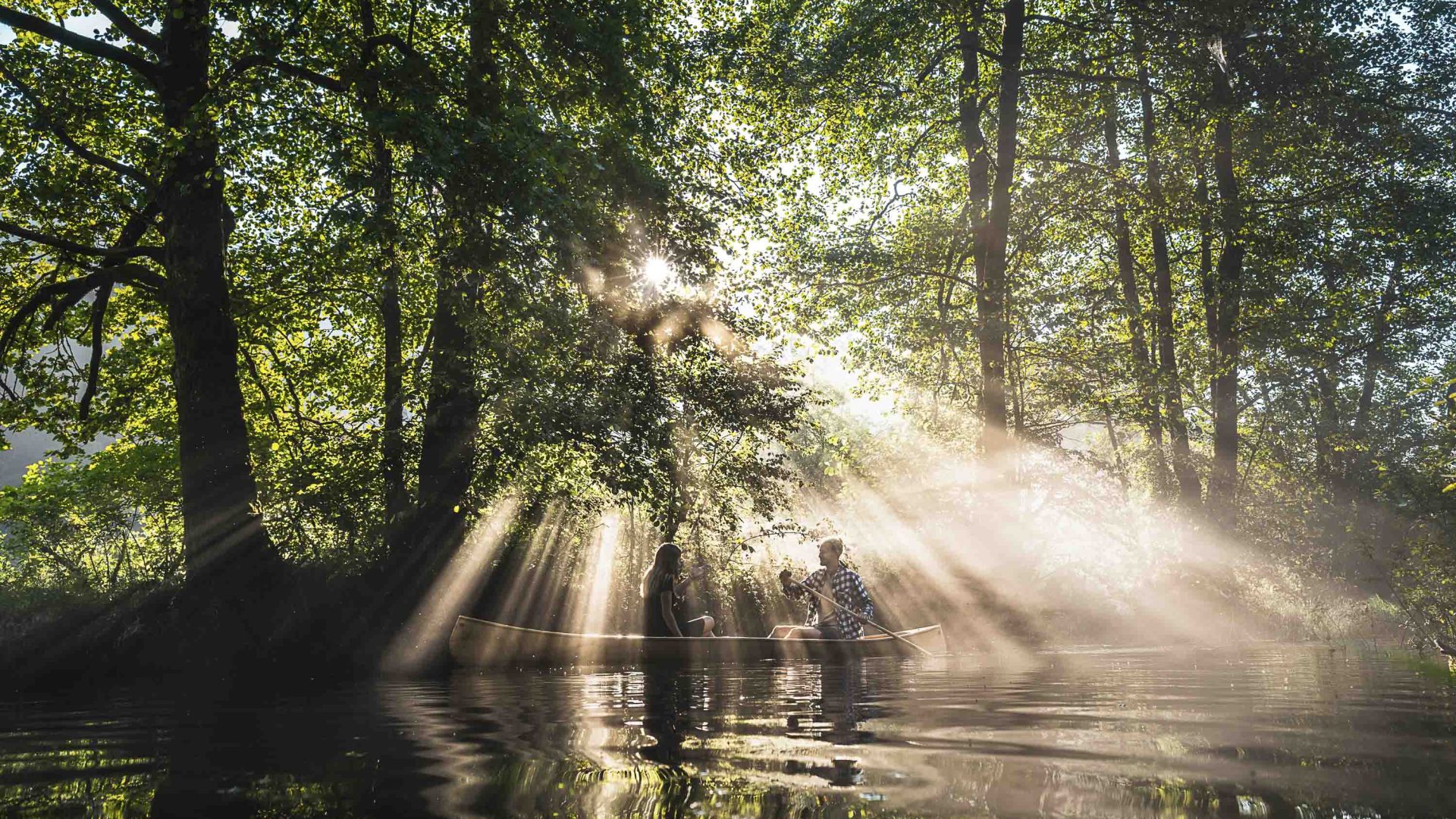 People kayak past trees as sunlight streams down on them.