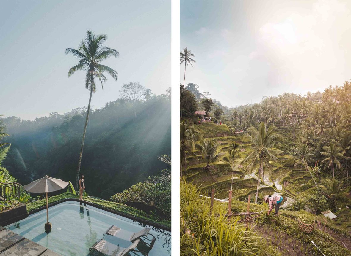 A woman at a pool and a local Balinese person working the rice paddy fields in Bali.