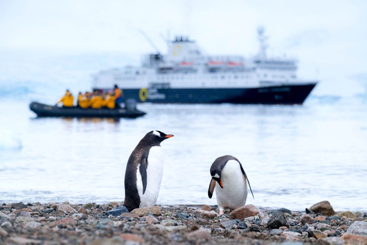 A Zodiac boat takes visitors away from the main cruise ship on a trip to Antarctica. Penguins sit in the foreground.