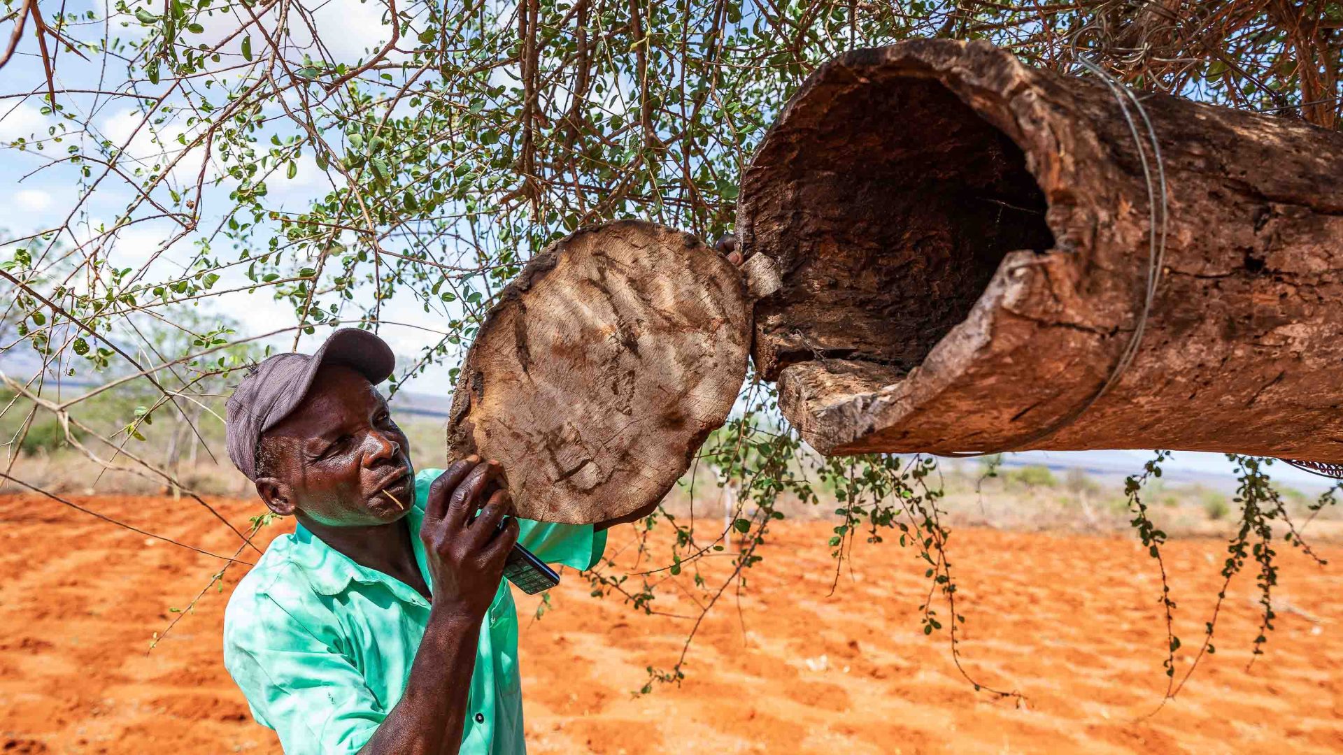 How bees became a former poacher’s saving grace in Kenya