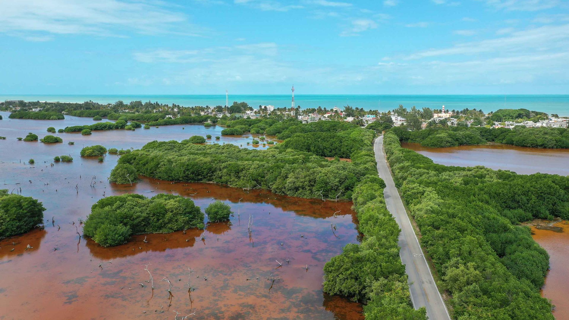 An aerial photo showing brown water, mangroves and green trees.