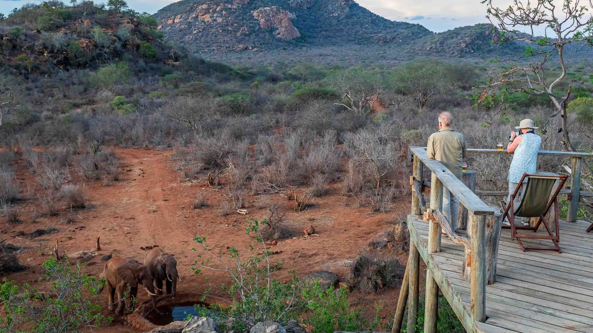 Tourists staying at Secluded Africa lodges watch from an elevated deck as elephants drink from a water hole.