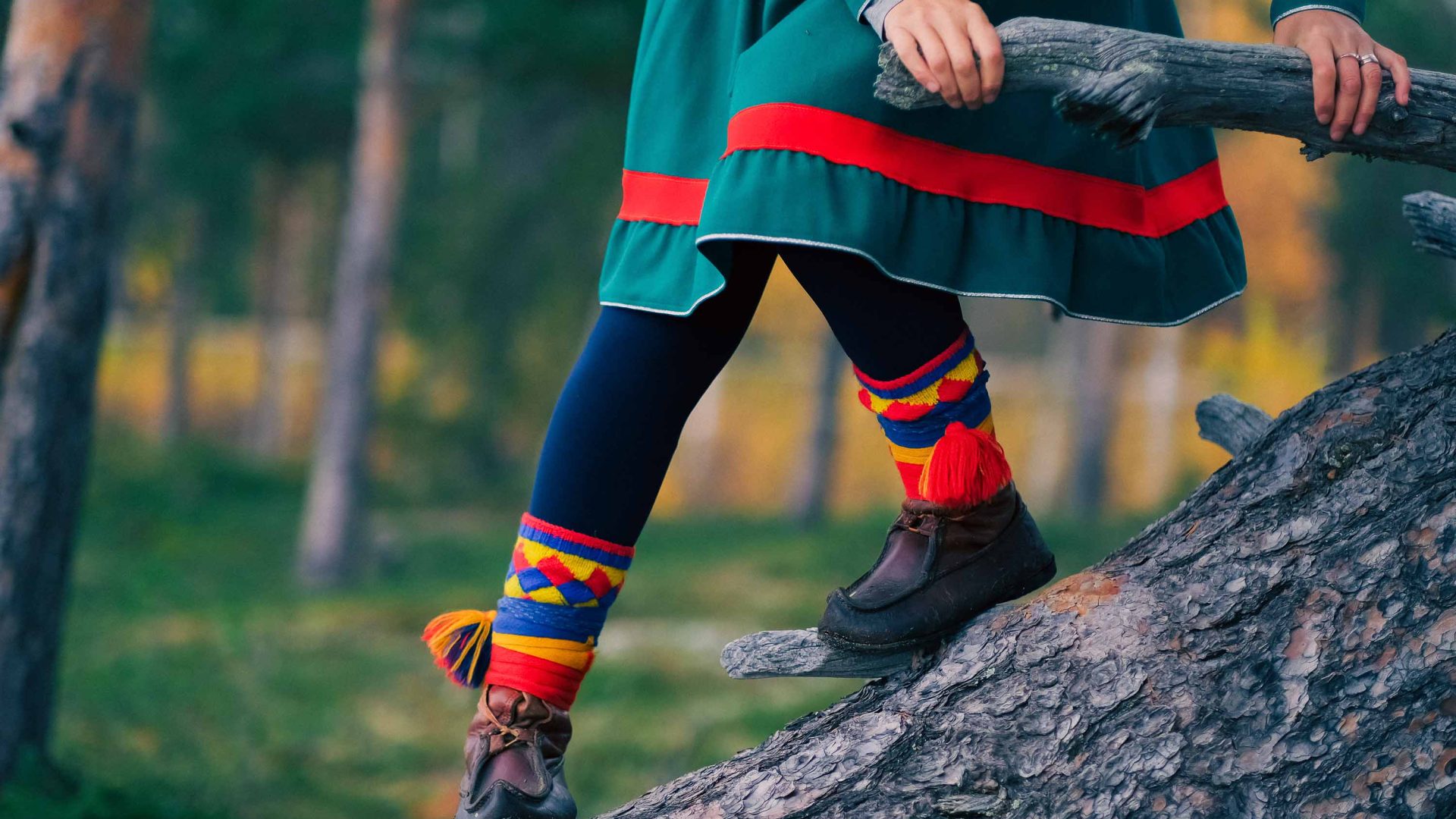 The legs of a woman in Sami designs climbs on a tree.