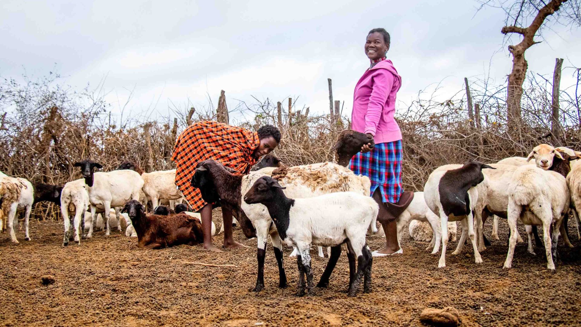 Women with goats.
