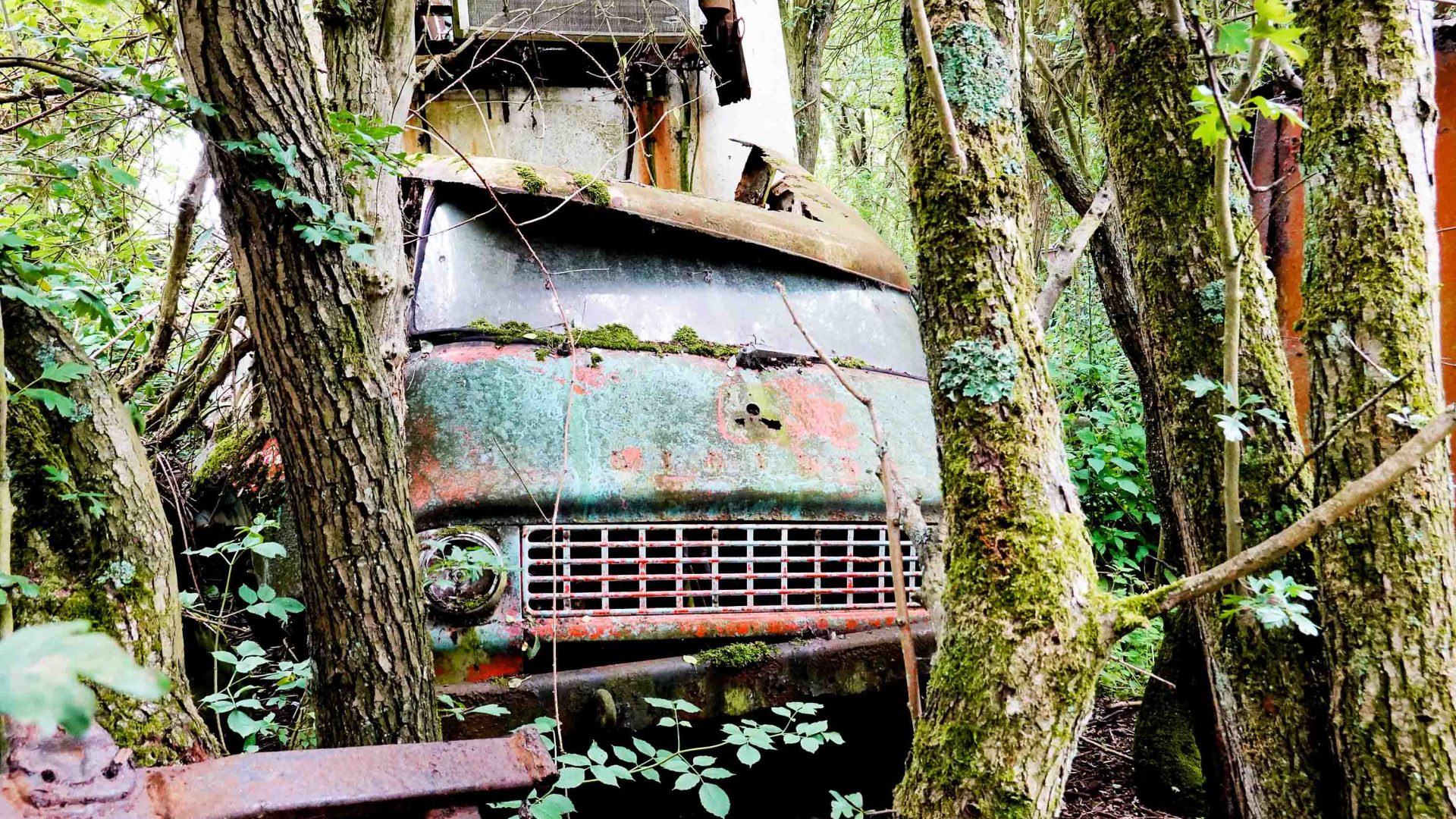 A rusty abandoned truck in amongst trees.