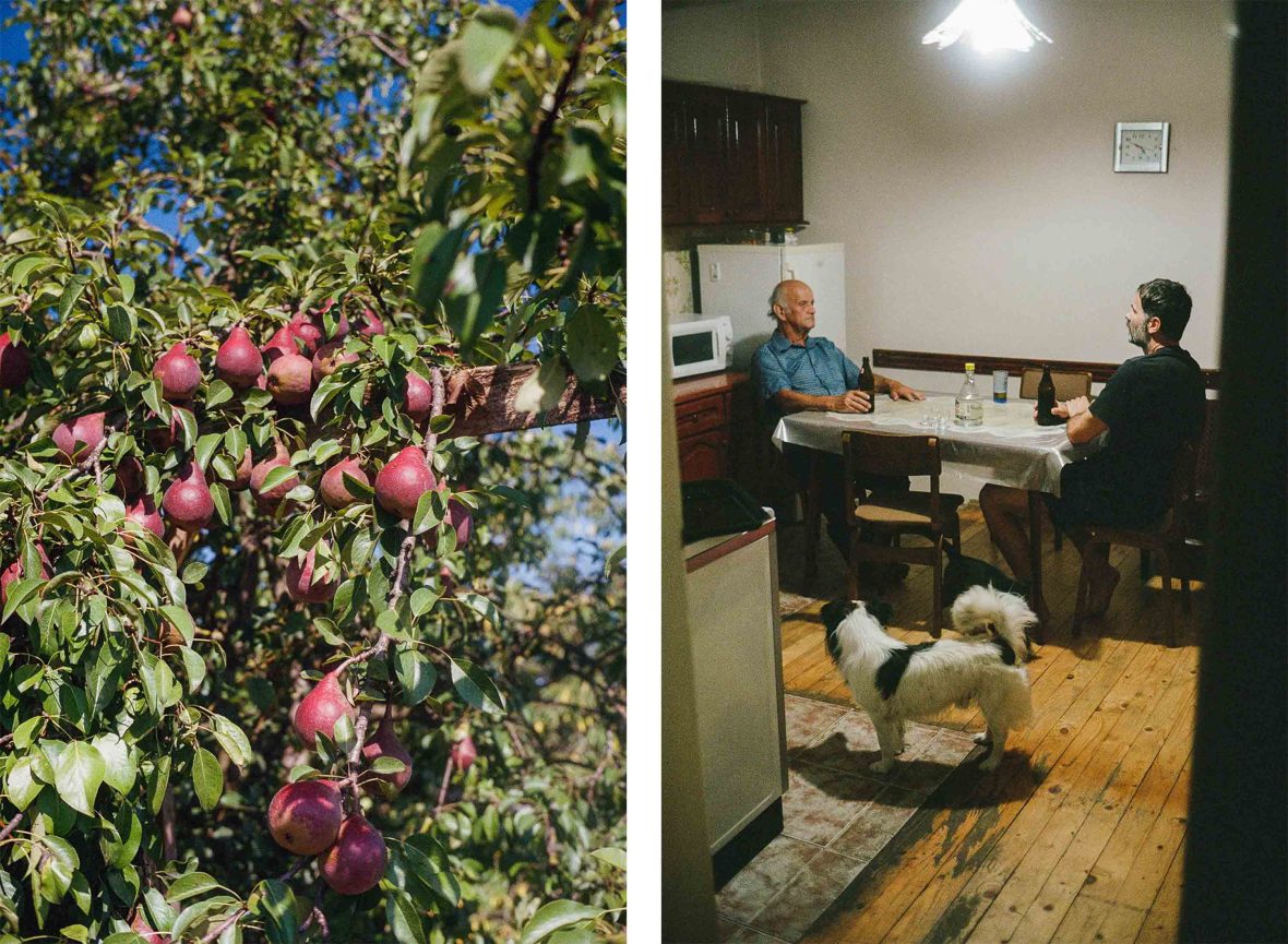 Left: A fruit tree. Right: Ivan sits at a table inside a kitchen and talks to his uncle.