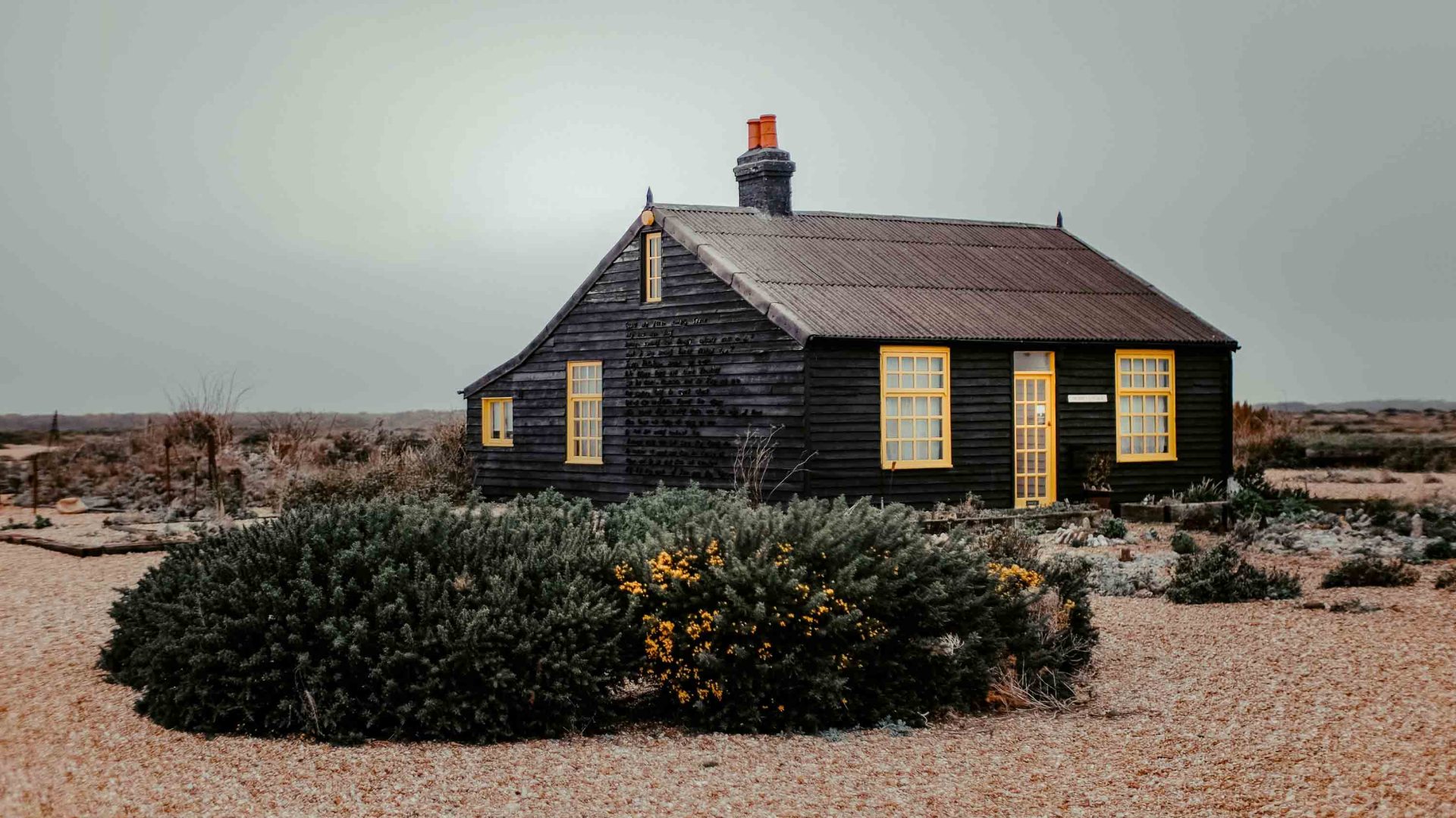 A black and yellow cottage with green and yellow shrubs out the front.