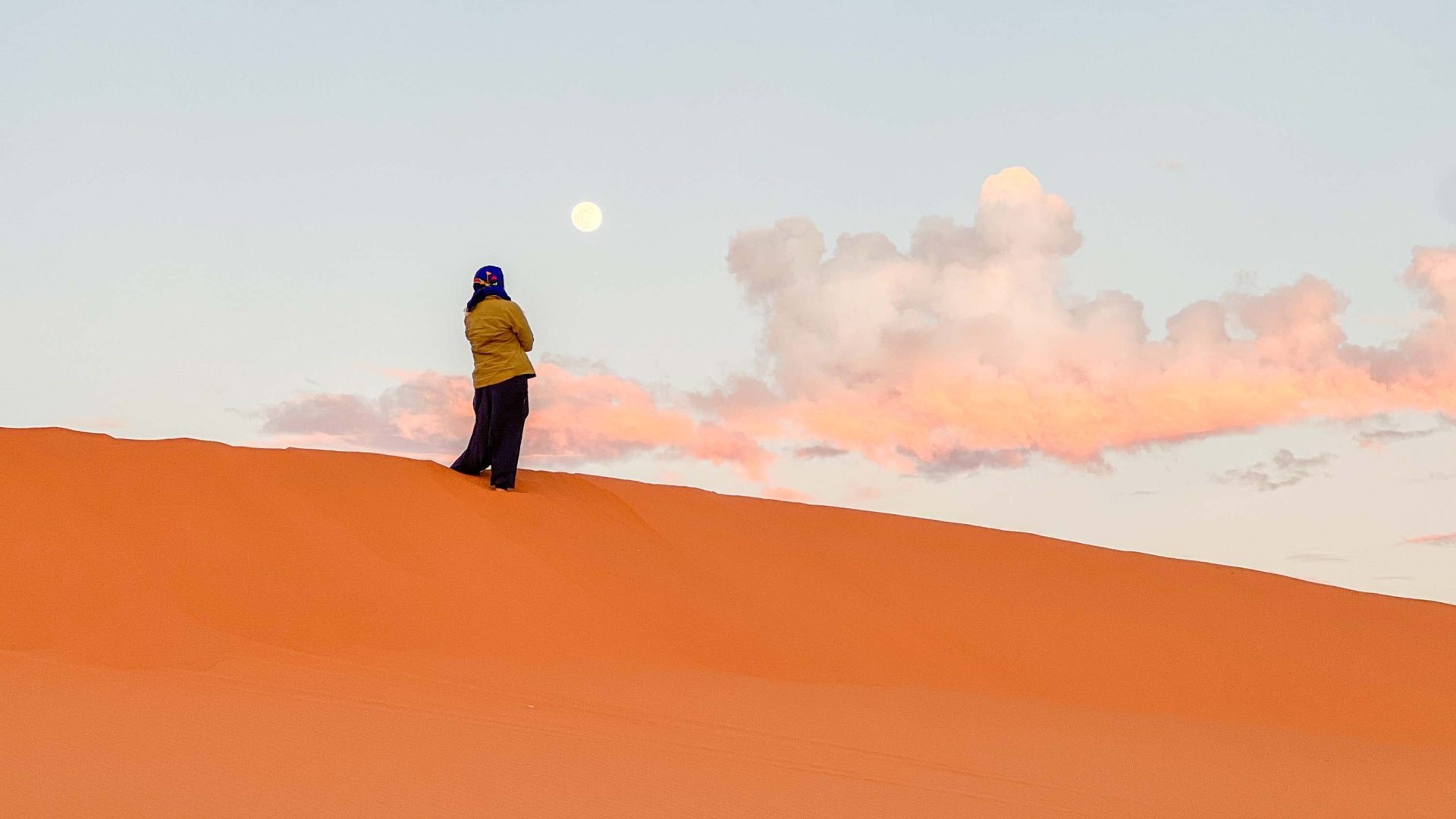 A solitary figure stands in the desert.