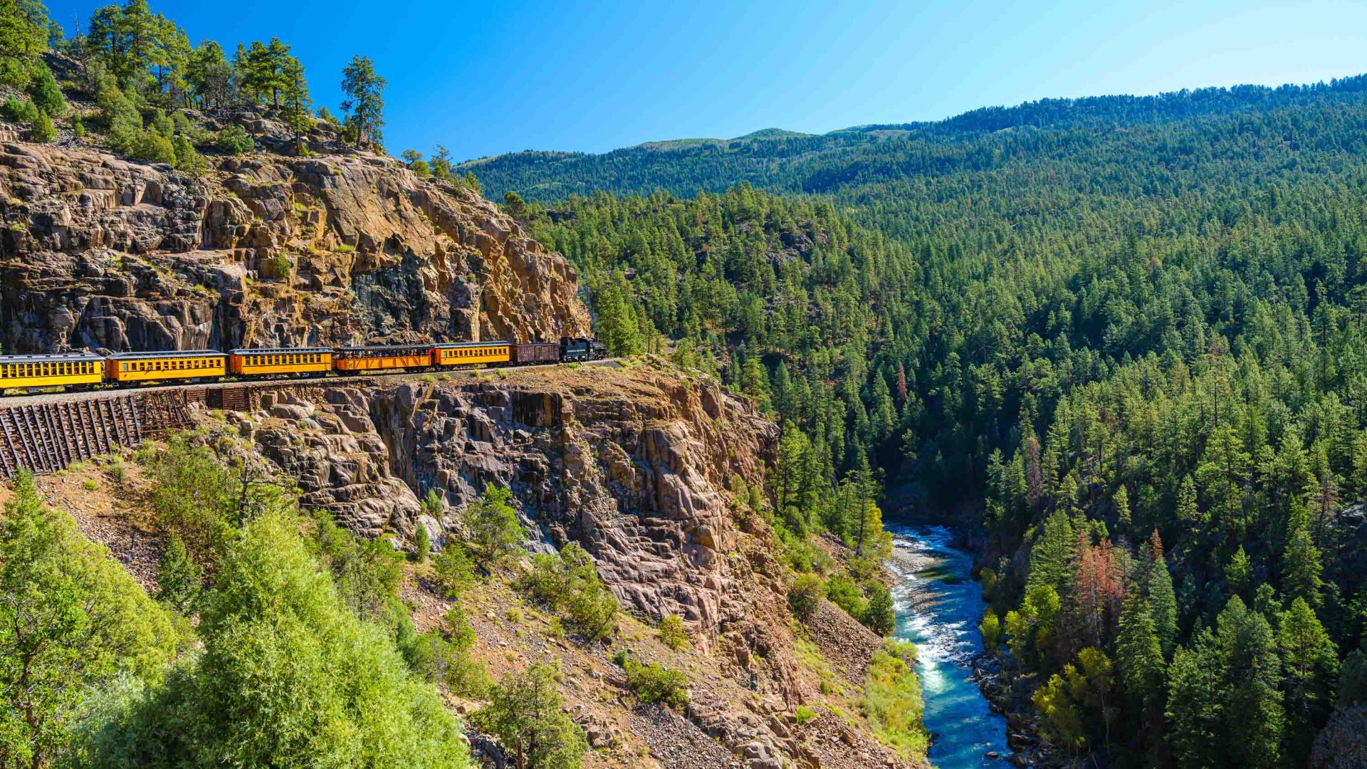 The Durango train winds through the tree covered mountains. There is a river far below.