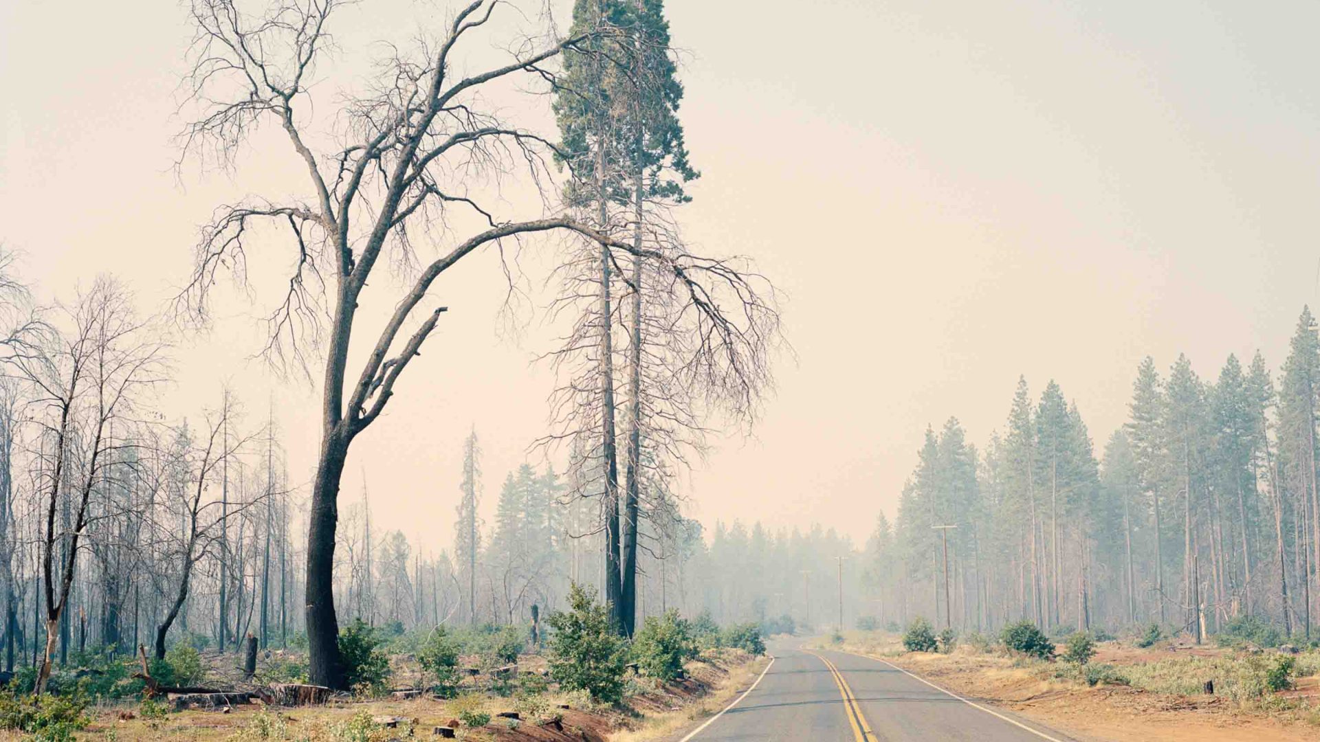 A road leads toward a smoky sky.