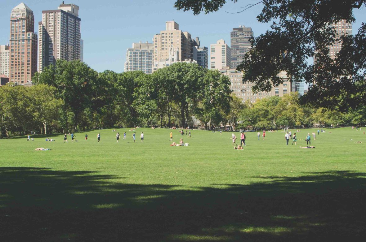 People enjoy a park which is backed by a city.