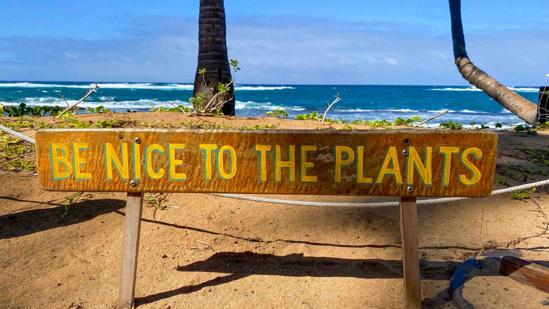 A sign at the beach for tourists says 'Be nice to plants'.