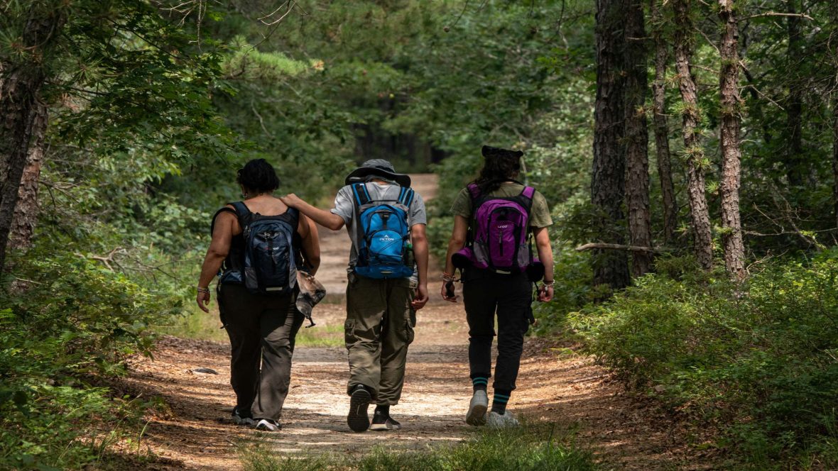 Three people hiking on flat ground in the woods