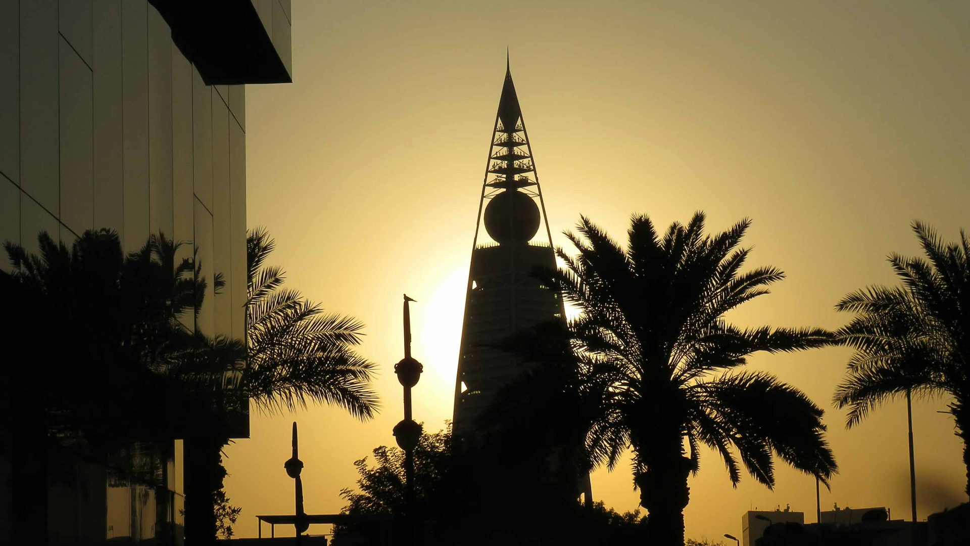 A tower, palm trees and building in silhouette against a yellow sky.