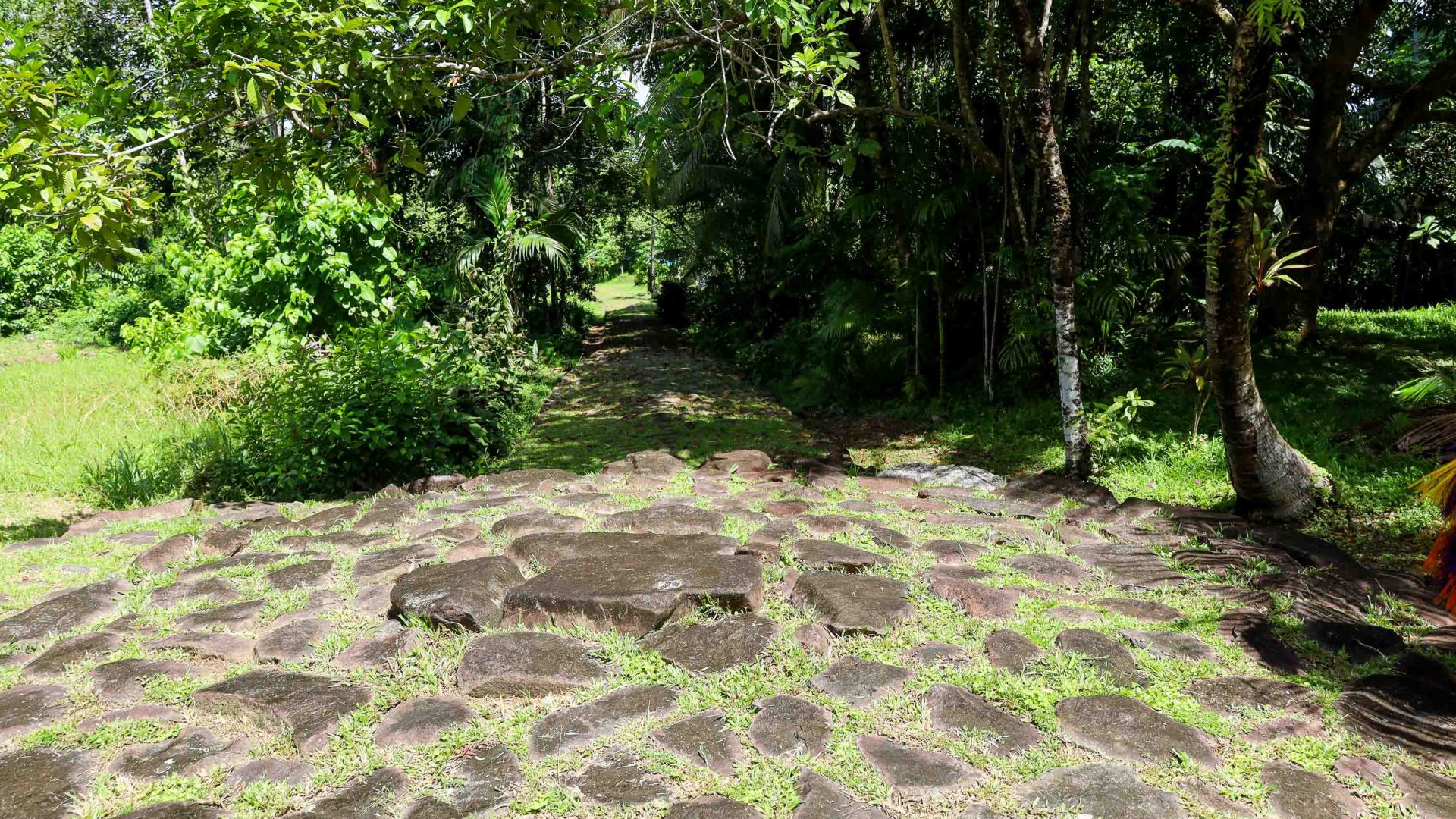 An ancient stone path that opens to a circle.