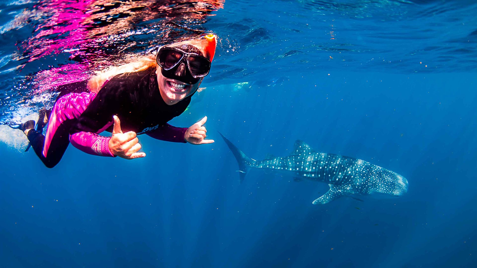 Scientists say this is the world’s most sustainable whale shark swim. We gave it a go.