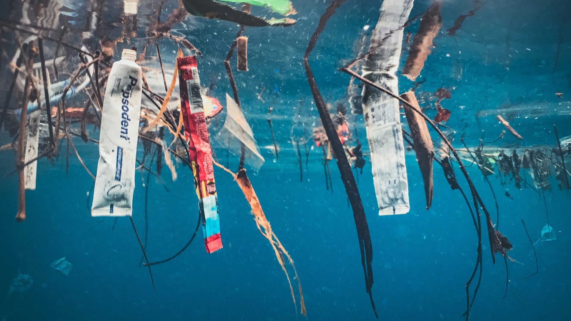An underwater view of plastic waste, including snack wrappers and toothpaste tubes, floating on a body of water.