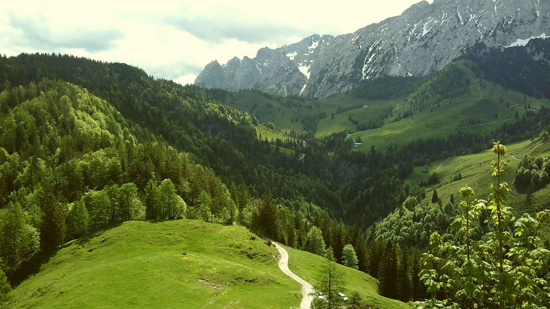 Deep green hills and mountains in a hiking area in Kufstein, Austria